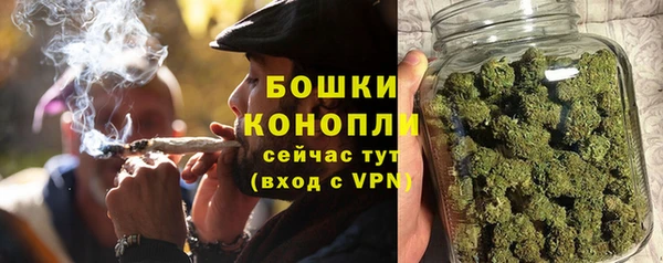 мдпв Волоколамск