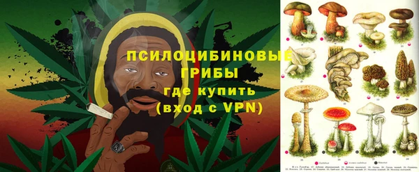 героин Покачи