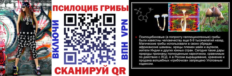 Галлюциногенные грибы Psilocybe  где можно купить наркотик  blacksprut tor  Кашин 
